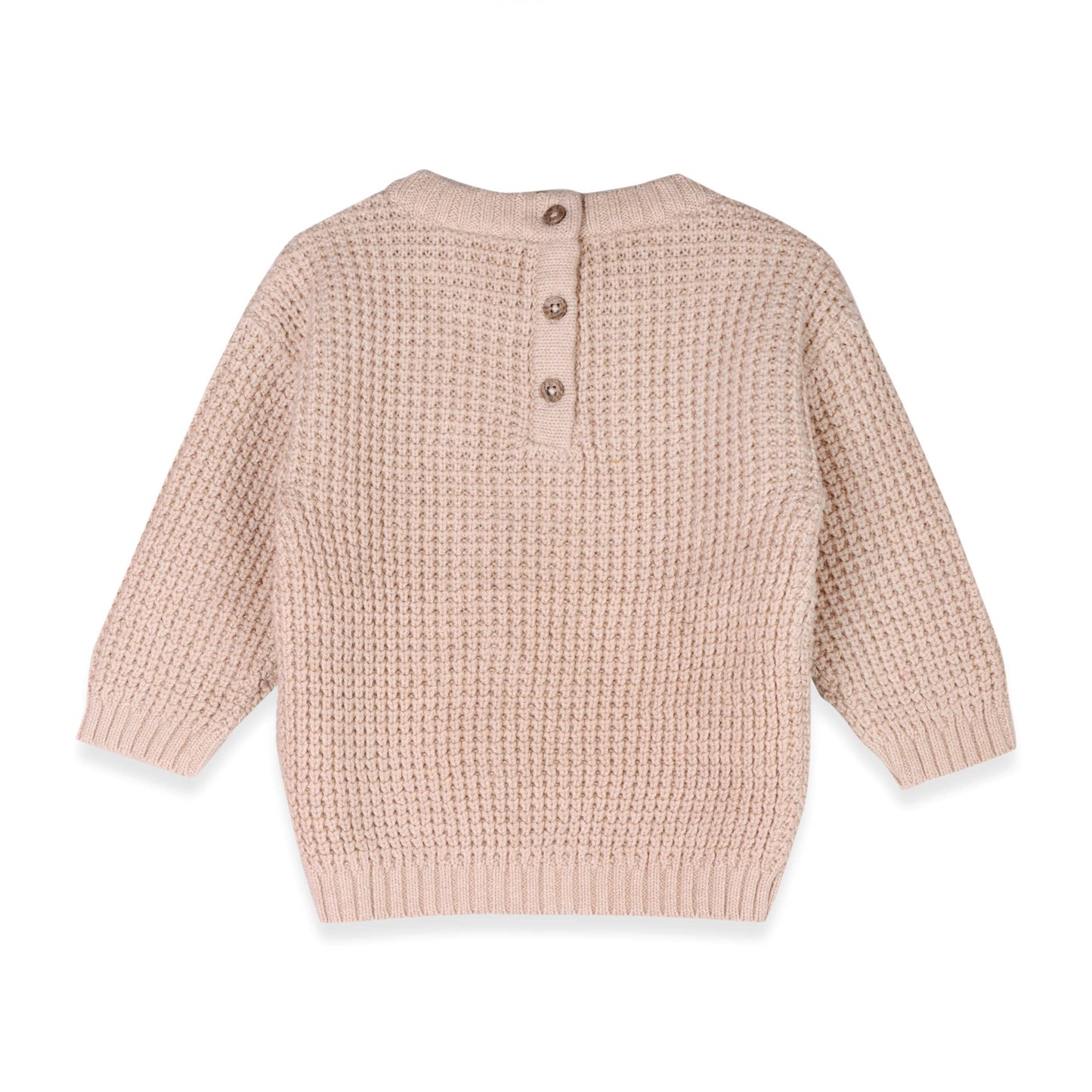 Little Dude Knit Sweater