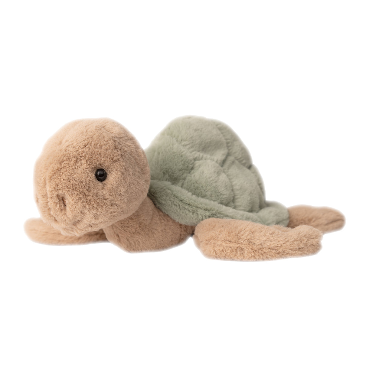 Bukowski Turtle - 11"
