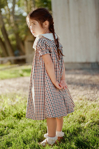 Mini Emery Dress in Chestnut