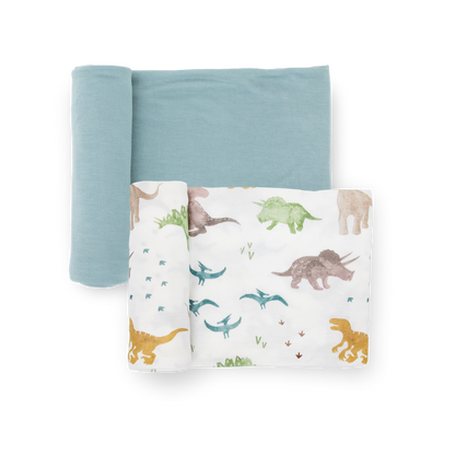 Stretch Knit Swaddle 2 Pack