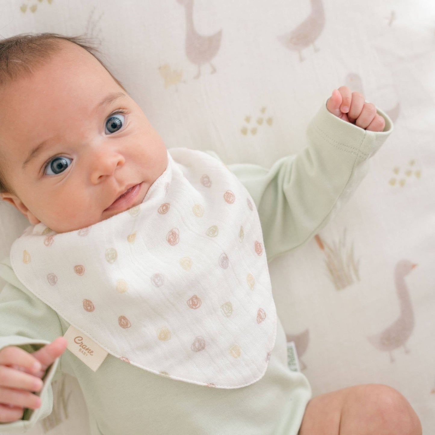 Muslin Bib Set - Charlie