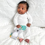 Itzy Pal™ Plush + Teether: Avocado