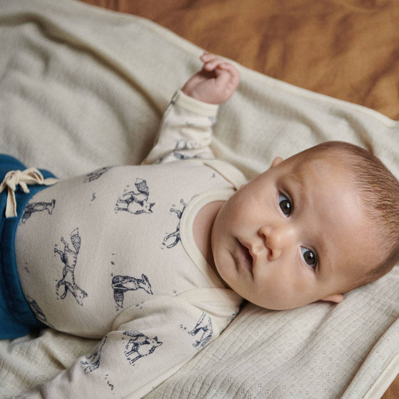 Nature Baby - Fox Blue Set
