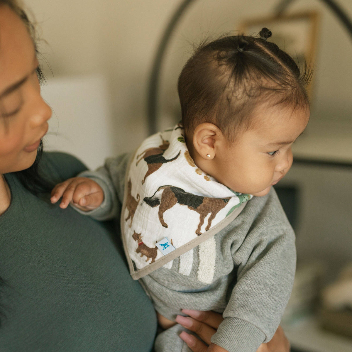 Muslin/Fleece Bib 4 Pack
