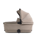 Reef Folding Bassinet
