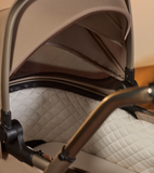 Reef Folding Bassinet