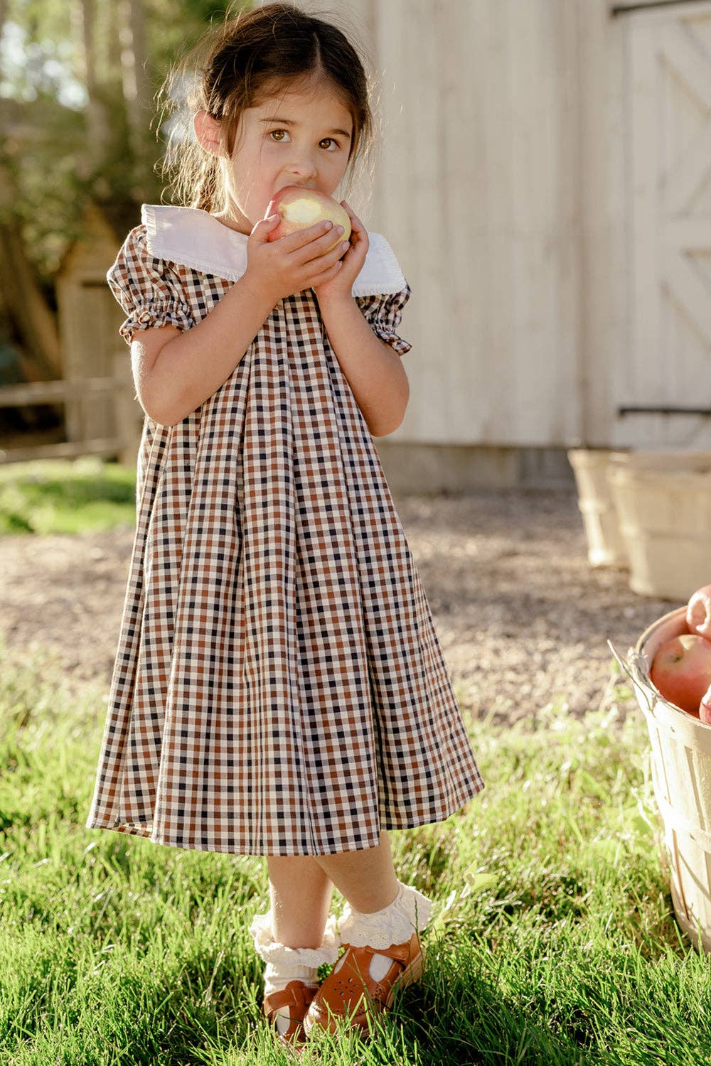 Mini Emery Dress in Chestnut