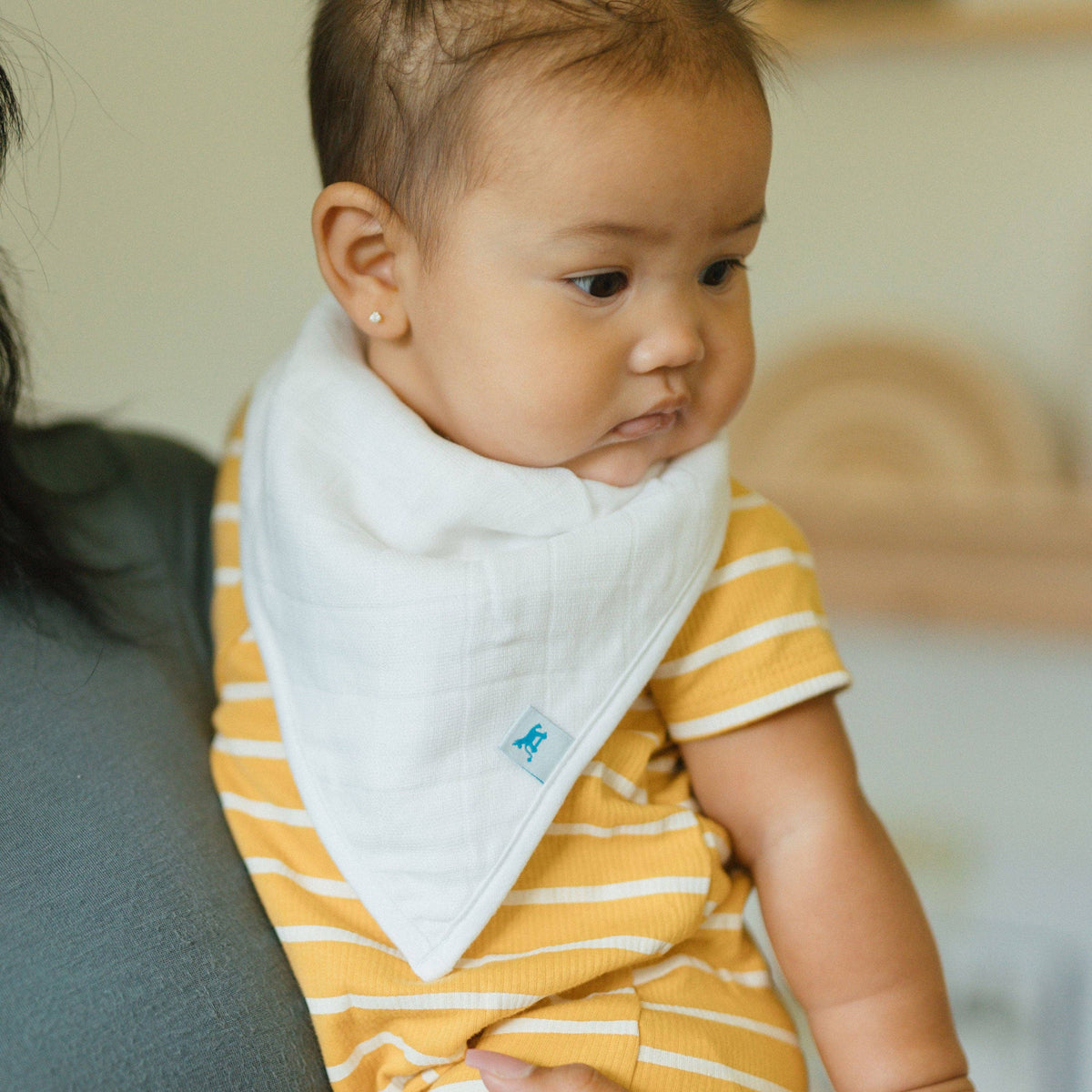 Muslin/Fleece Bib 4 Pack