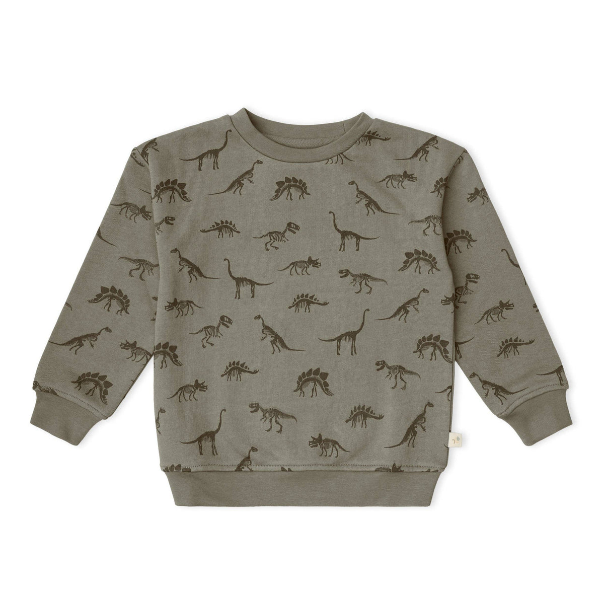 Org. Fleece Sweatshirt - Dino
