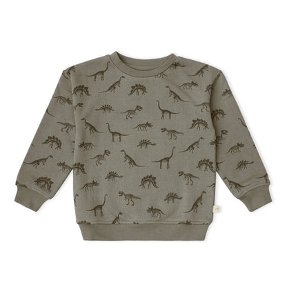 Org. Fleece Sweatshirt - Dino