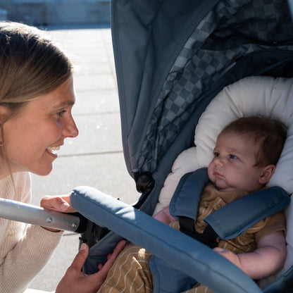 Era-Reversible Stroller