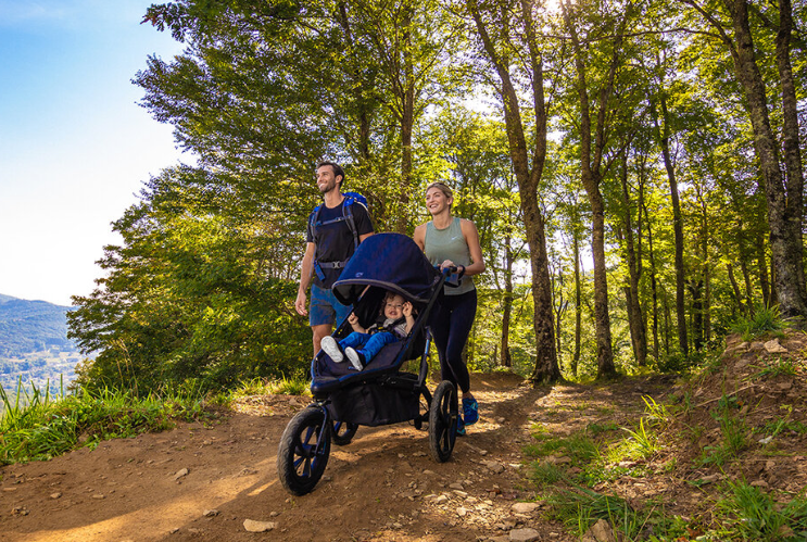 Alterrain Pro Stroller