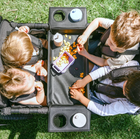 Wonderfold Flex Snack Tray