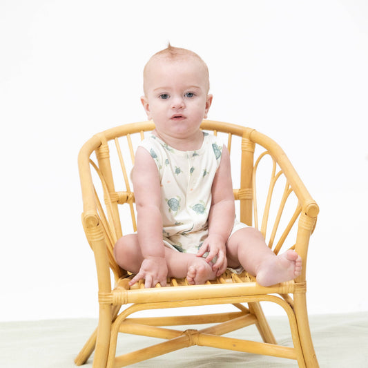Sea Turtles - Romper
