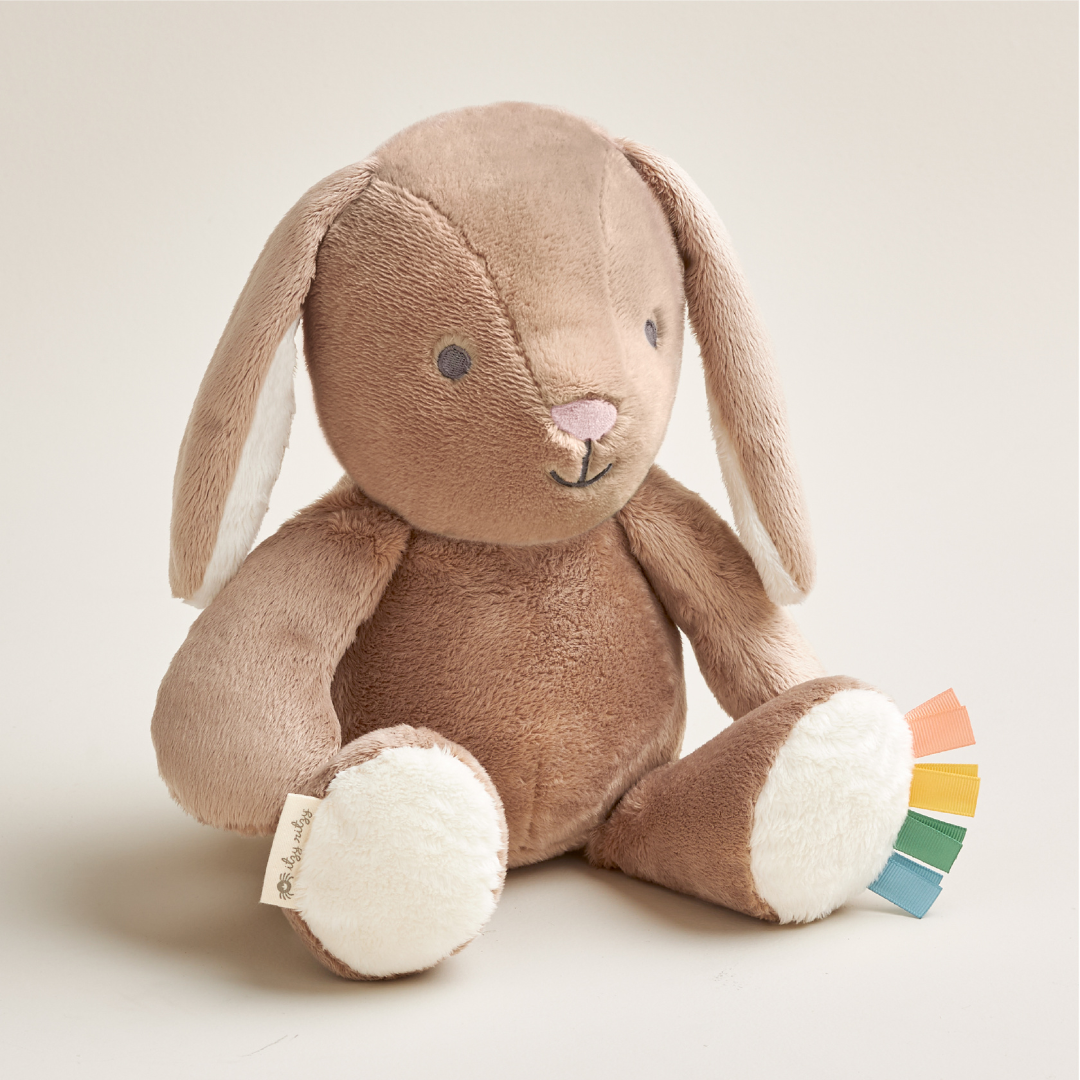 Snuggleverse Plush