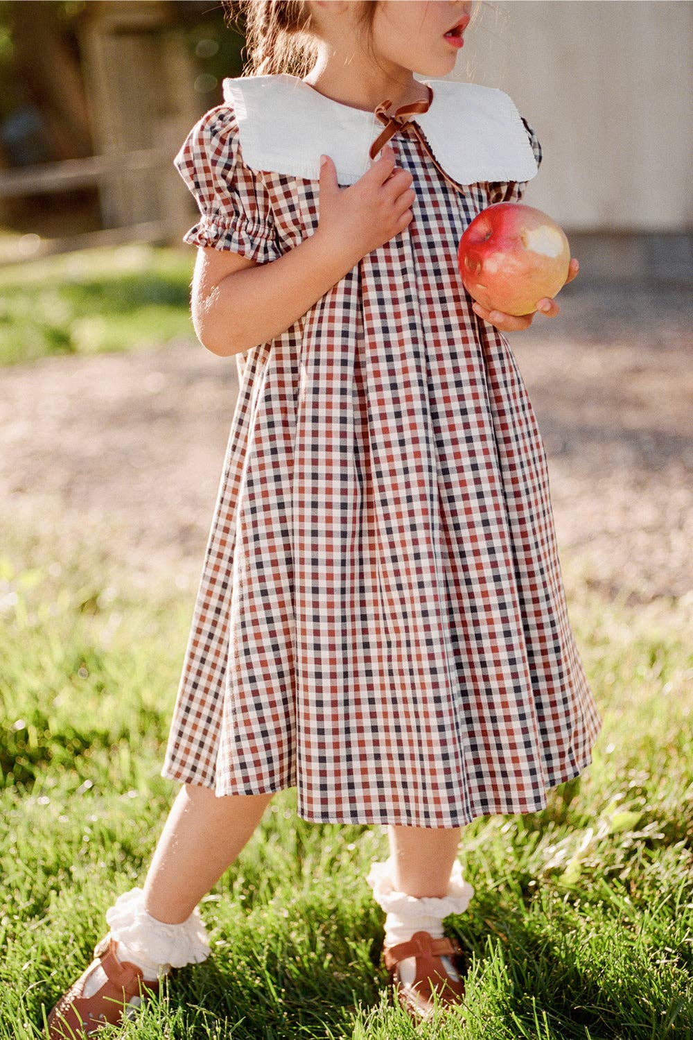 Mini Emery Dress in Chestnut
