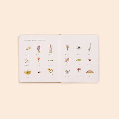 Our Little Adventures Board Book Box Set for Kids