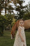 Muslin Dress | Wild Horses