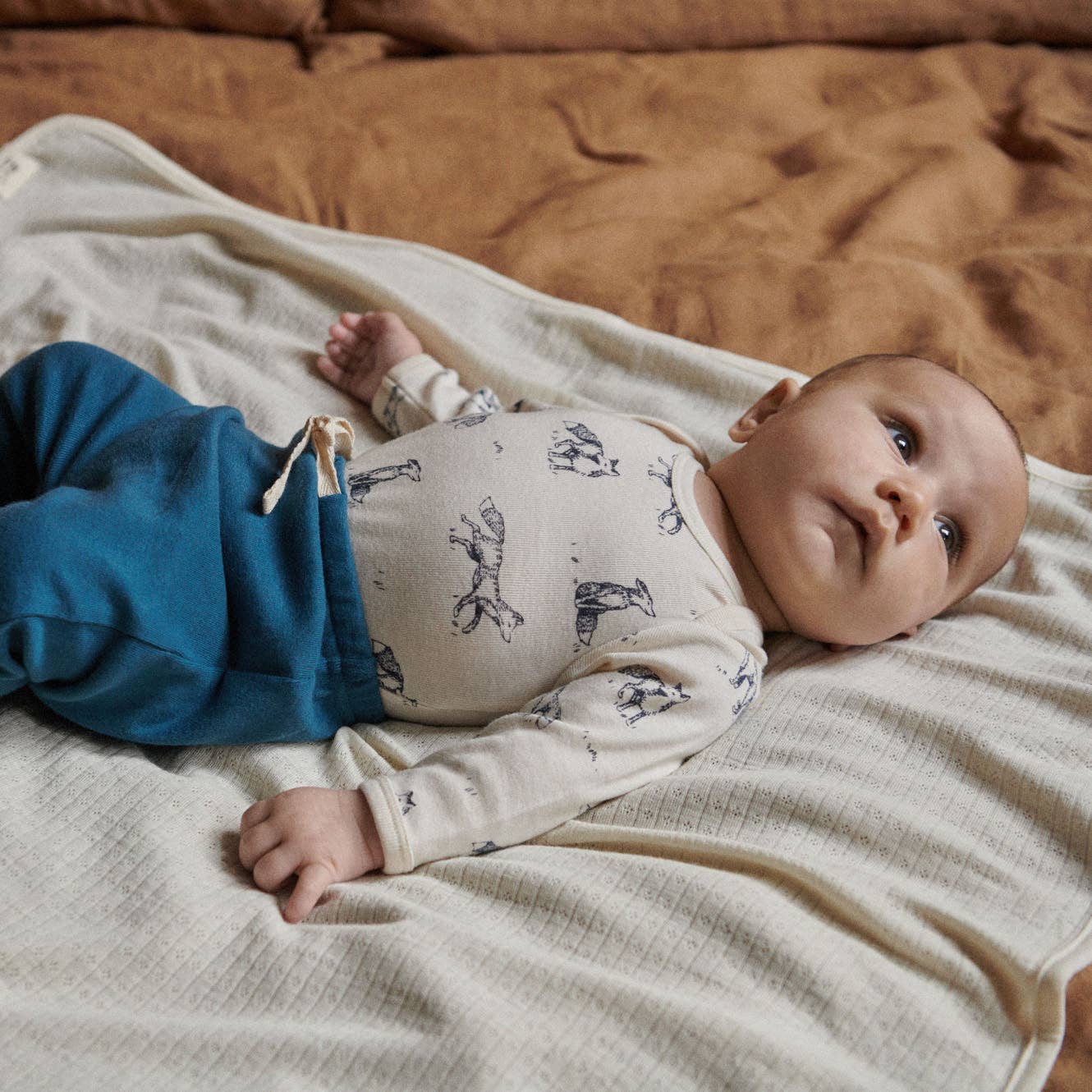Nature Baby - Fox Blue Set