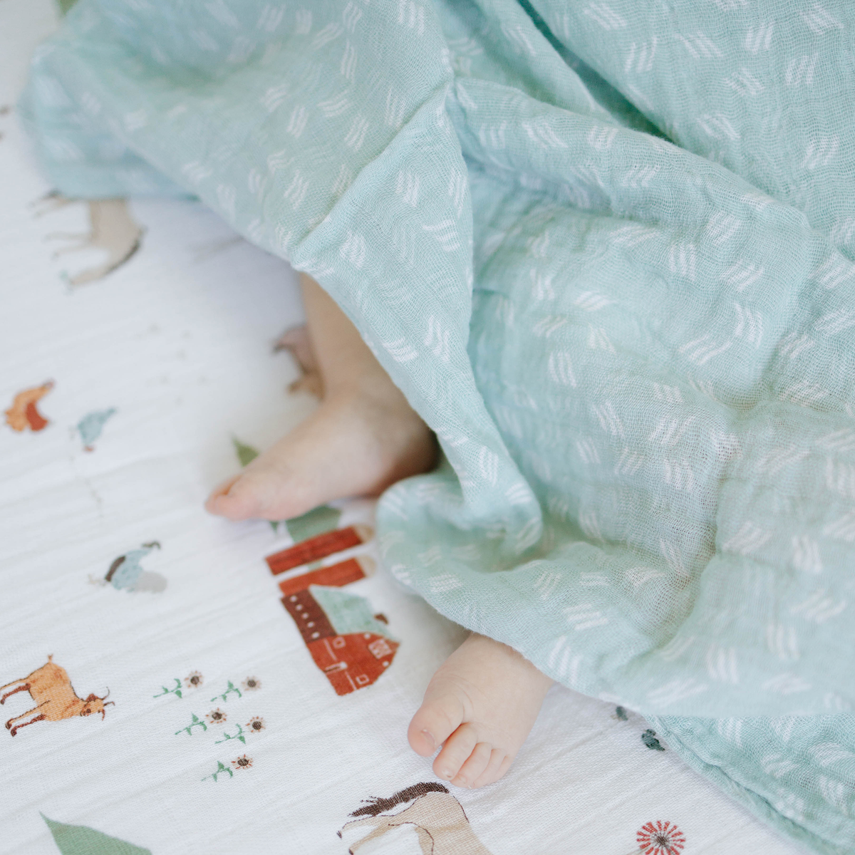 Cotton Muslin Swaddle 3 Pack