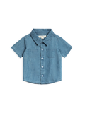 Organic Graham Chambray Button Down