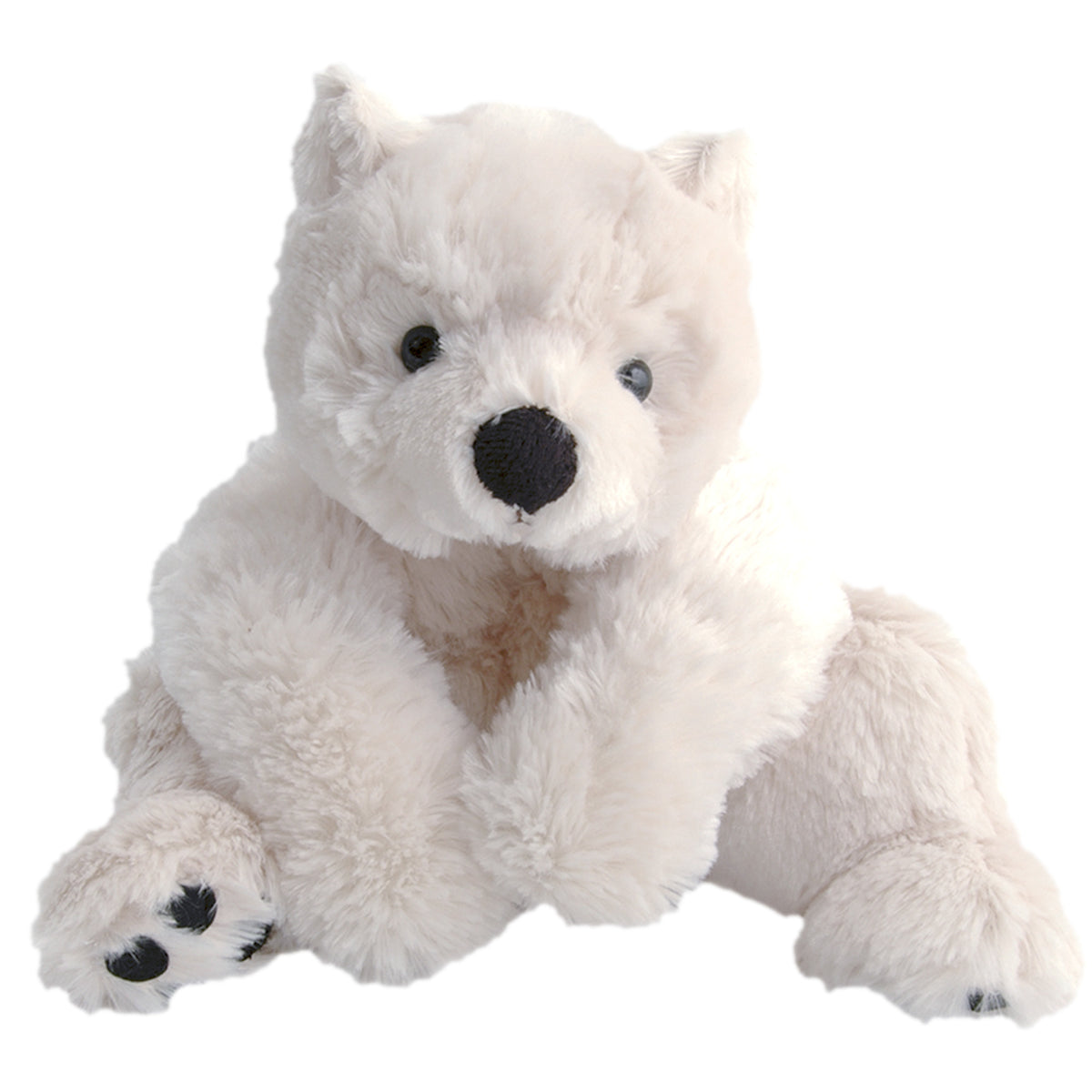 Baby Polar Bear