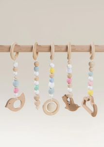 Hanging toys for Play Arch - Pinakle